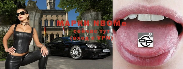 ECSTASY Алзамай