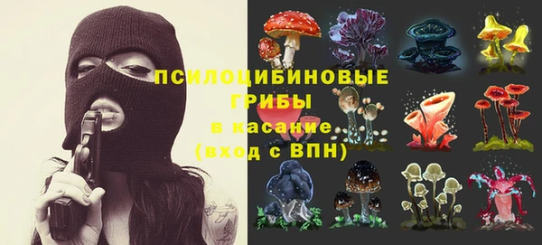 ECSTASY Алзамай