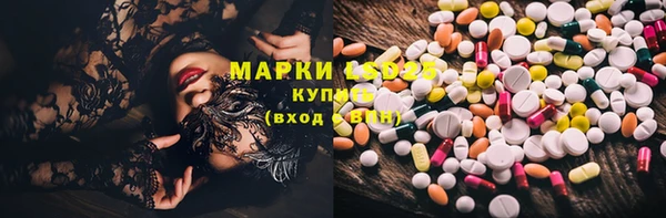 ECSTASY Алзамай